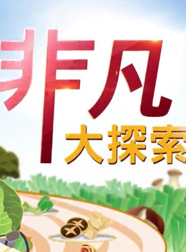 【精品 泄密 】杭州甜美女孩与男友 自拍 流出 - 偷看TV